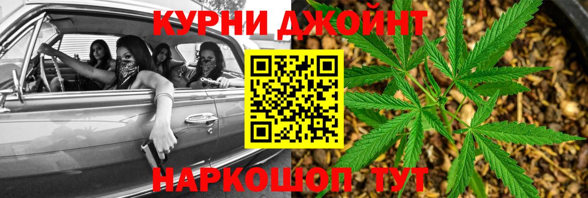 Шишки марихуана семена Кимры